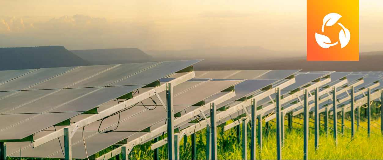 solar farm in a field