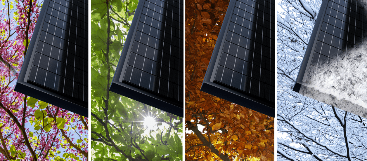 home solar seasonality hero